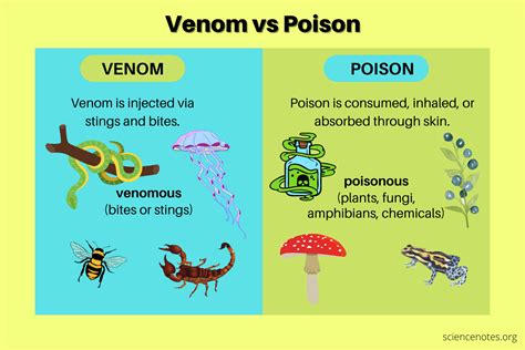 spoison|poison meaning.